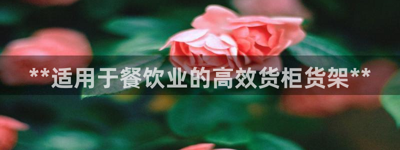 杏运相伴