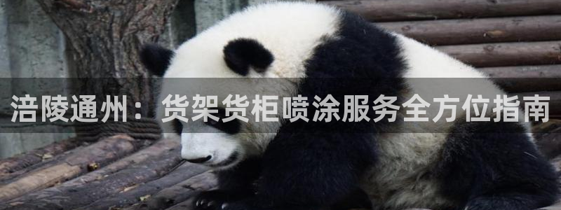 杏运平台注册登录