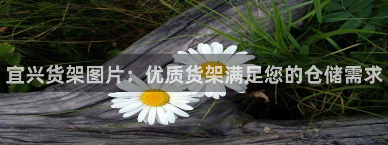 杏运平台官方网站