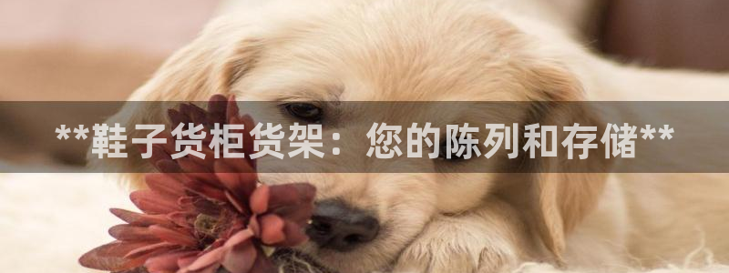 杏运平台注册