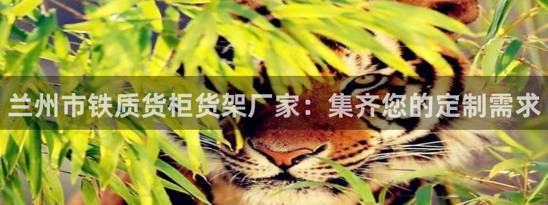 杏运登录