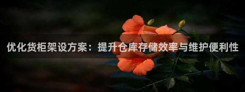 杏运体育网