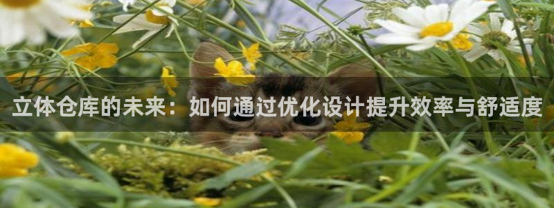 杏运体育官方网址