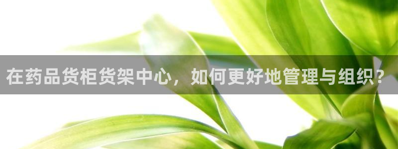 杏运相伴