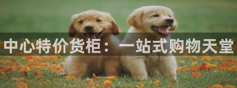 杏运娱乐