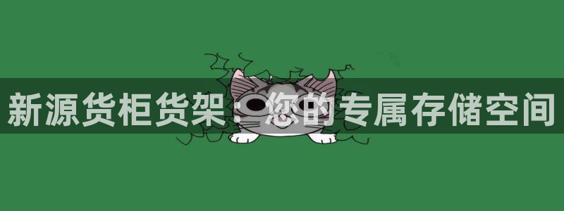 杏运体育登录：新源货柜货架：您的专属存储