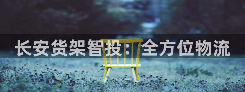 杏运体育官网：长安货架智投：全方位物流
