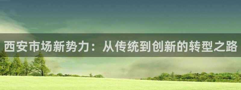 杏运平台注册：西安市场新势力：从传统到创
