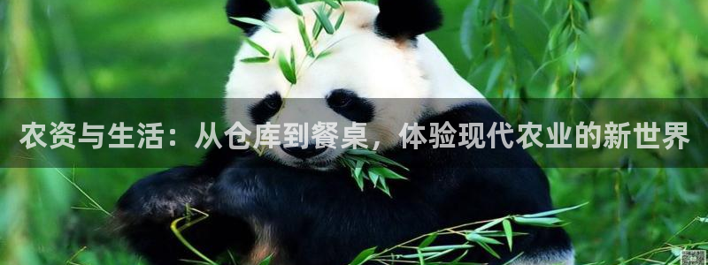 杏运娱乐怎么样