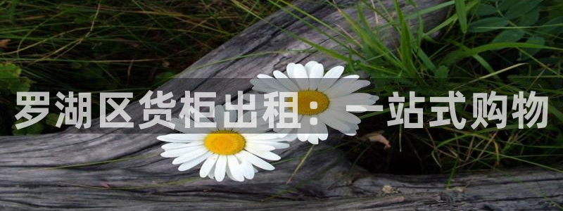 杏运体育注册