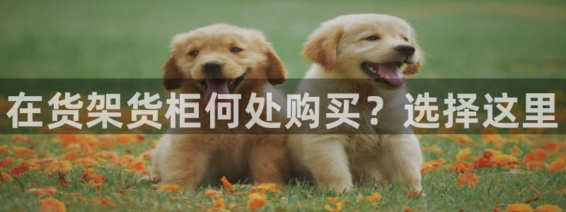 杏运体育网