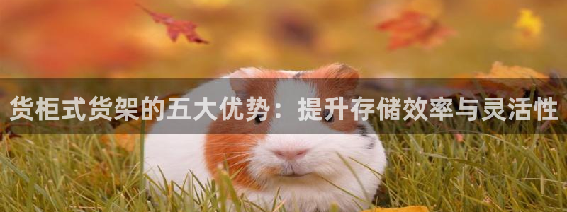 杏运体育app下载安装：货柜式货架的五大