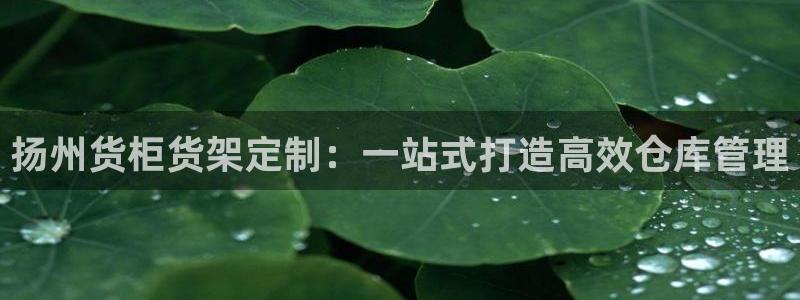 杏运注册平台：扬州货柜货架定制：一站式打