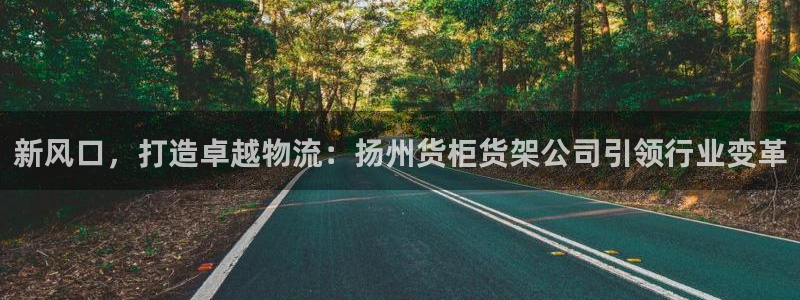 杏运平台注册登录：新风口，打造卓越物流：