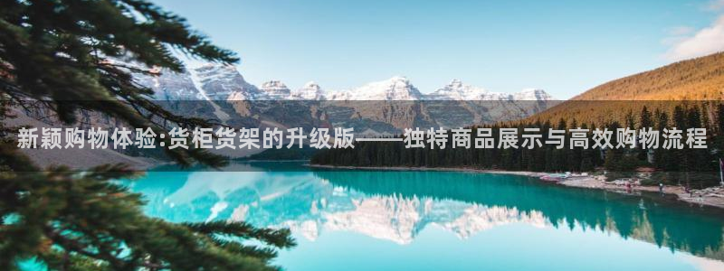 杏运注册平台：新颖购物体验:货柜货架的升
