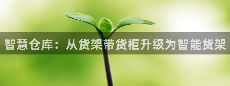 杏运体育不给出款：智慧仓库：从货架带货柜
