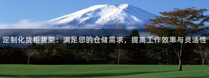 杏运体育官方网址：定制化货柜货架：满足您