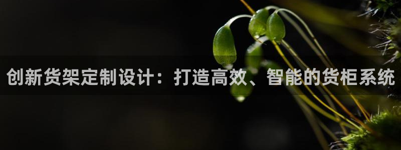 杏运注册账号