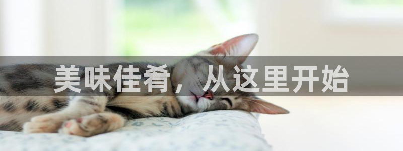 杏运相伴：美味佳肴，从这里开始