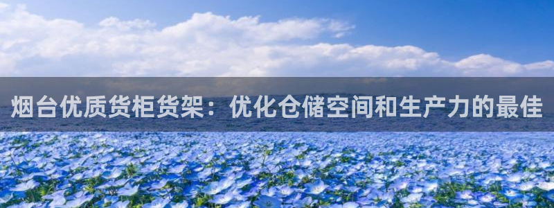 杏运体育娱乐：烟台优质货柜货架：优化仓储