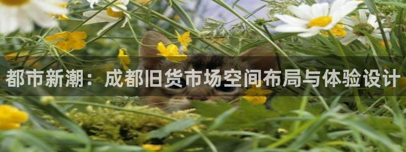 杏运体育平台正规吗安全吗