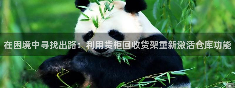 杏运体育怎么样