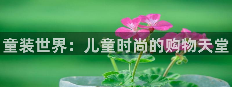 杏运体育平台正规吗安全吗可信吗