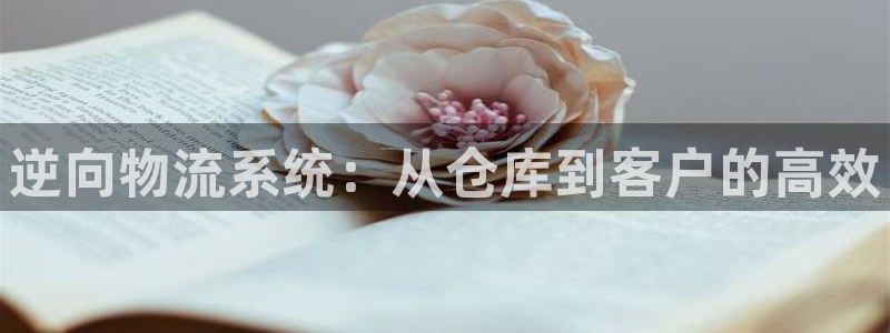 杏运体育平台正规吗安全吗可信吗