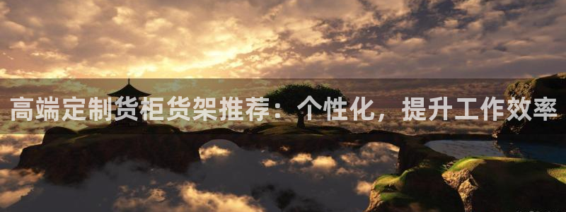 杏运平台代理：高端定制货柜货架推荐：个性