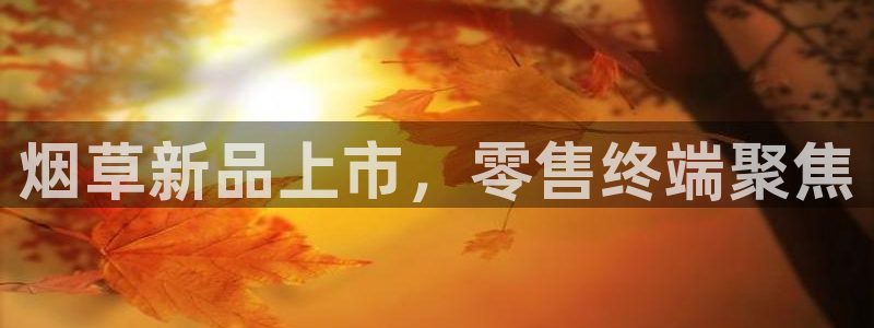 杏运体育平台正规吗安全吗可信吗