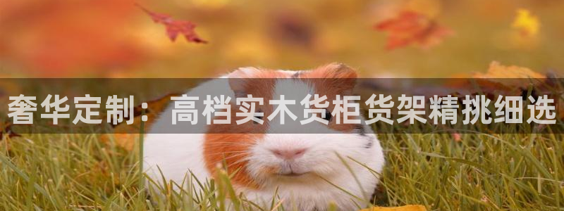 杏运平台官方网站