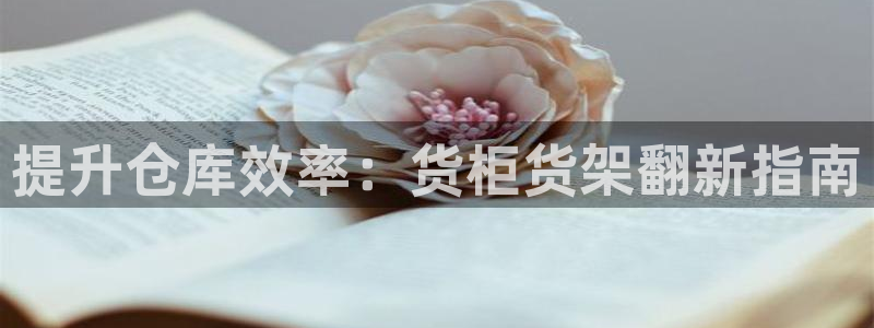 杏运代理