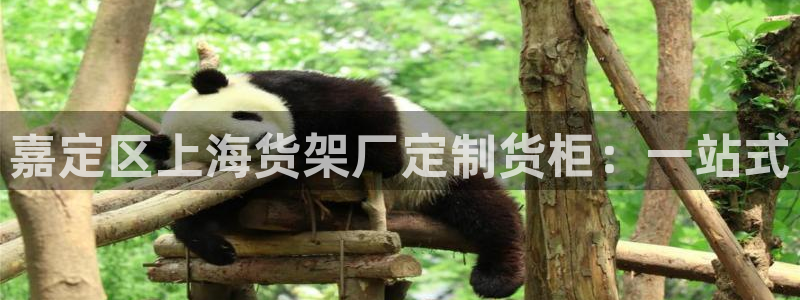 杏运体育网：嘉定区上海货架厂定制货柜：一