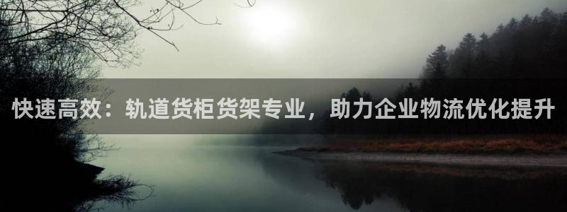 杏运娱乐怎么样：快速高效：轨道货柜货架专