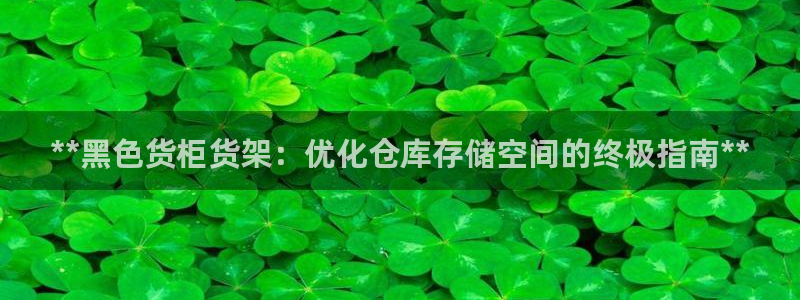 杏运平台注册登录：**黑色货柜货架：优化