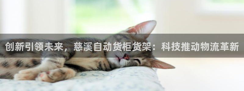 杏运体育注册：创新引领未来，慈溪自动货柜