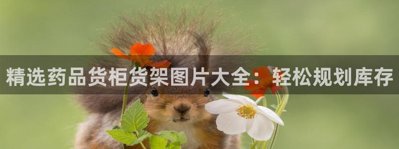 杏运体育平台正规吗安全吗