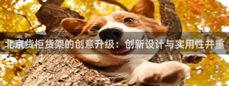 杏运注册登录地址：北京货柜货架的创意升级