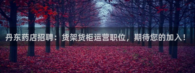 杏运平台注册登录：丹东药店招聘：货架货柜
