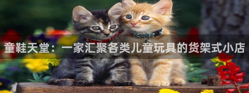 杏运注册登录地址