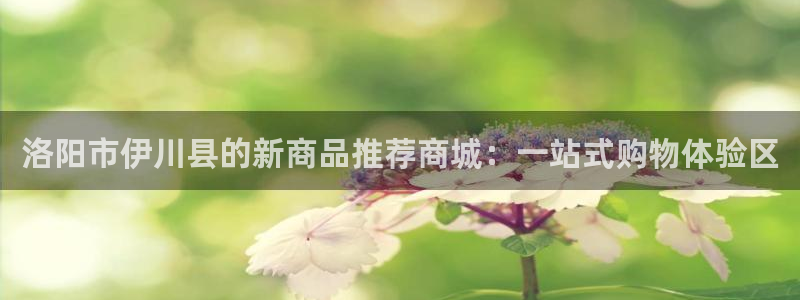 杏运代理