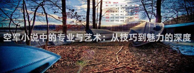 鸠摩搜书客户端下载