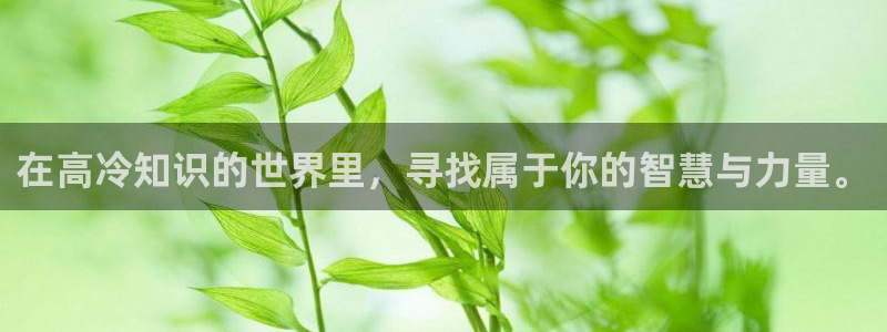 鸠摩搜书引擎